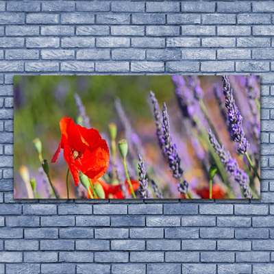 Foto på akrylglas Blomster Plante