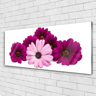 Akrylglas foto Blomster Planter Natur