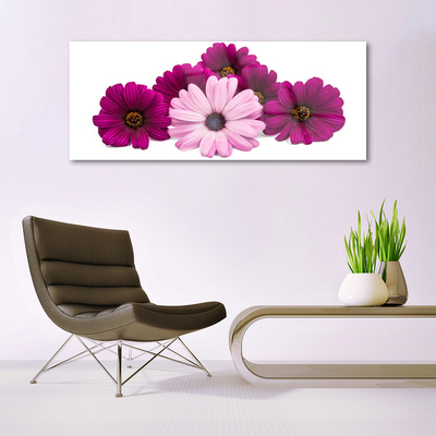 Akrylglas foto Blomster Planter Natur