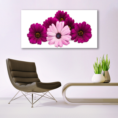 Akrylglas foto Blomster Planter Natur