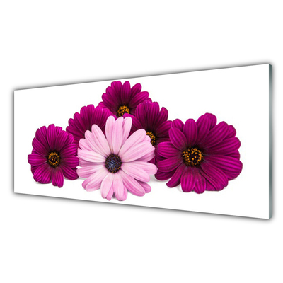 Akrylglas foto Blomster Planter Natur