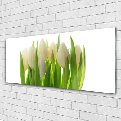 Akrylglas foto Tulipaner Plante Natur