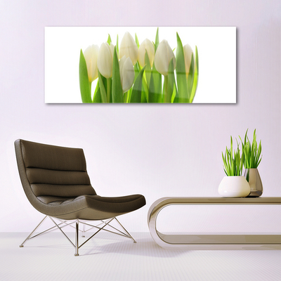 Akrylglas foto Tulipaner Plante Natur