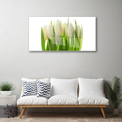 Akrylglas foto Tulipaner Plante Natur