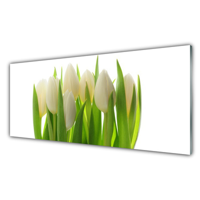 Akrylglas foto Tulipaner Plante Natur