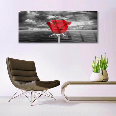Foto på akrylglas Rose Flower Plant Sea