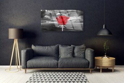 Foto på akrylglas Rose Flower Plant Sea