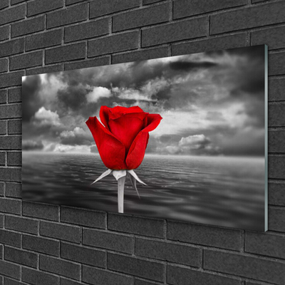 Foto på akrylglas Rose Flower Plant Sea