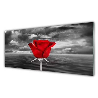 Foto på akrylglas Rose Flower Plant Sea