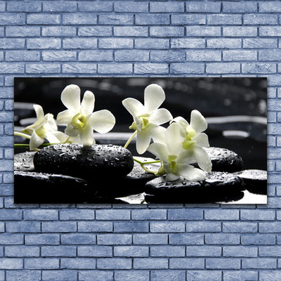 Akrylglas foto Orchid Stones Plant