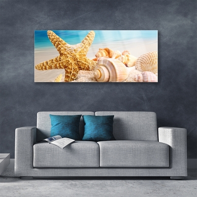 Foto på akryl Starfish Shell Art