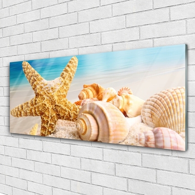 Foto på akryl Starfish Shell Art