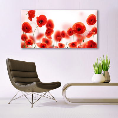 Akrylglas foto Poppies Nature Plant