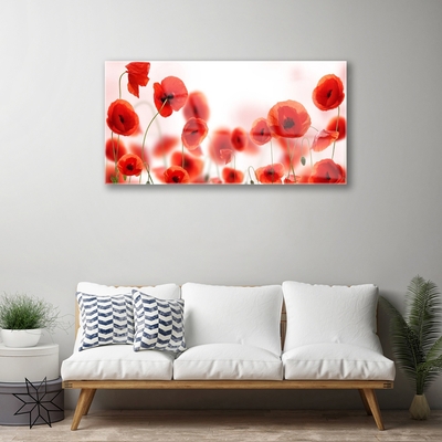 Akrylglas foto Poppies Nature Plant