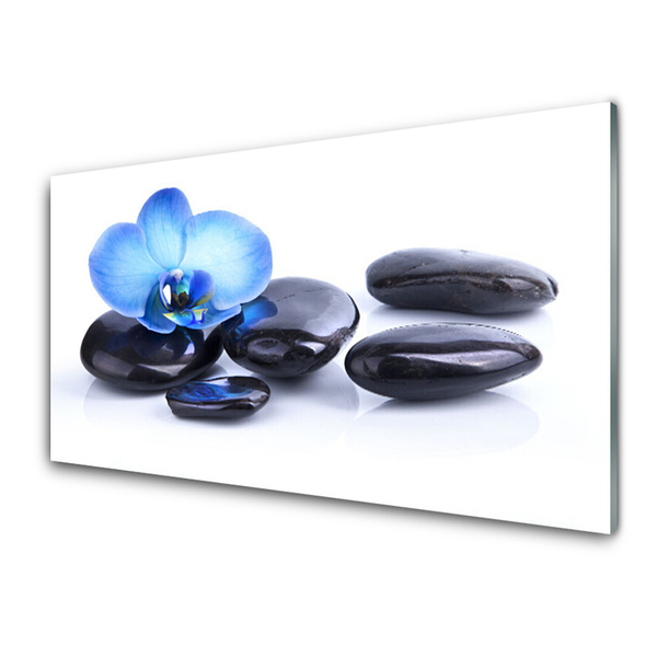 Akrylglas foto Flower Stones Art