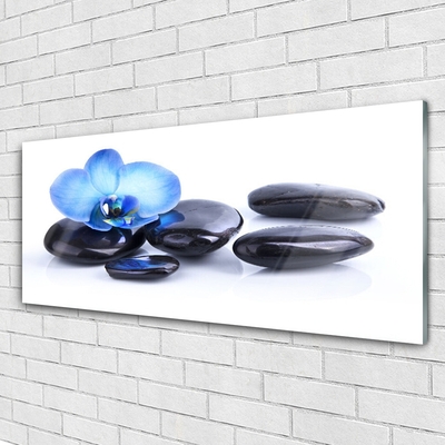 Akrylglas foto Flower Stones Art