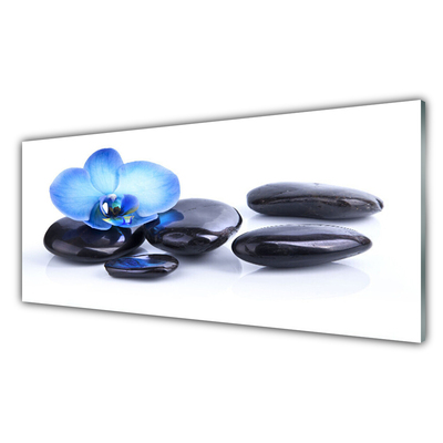 Akrylglas foto Flower Stones Art