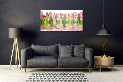 Akrylglas foto Tulipaner Planter Natur