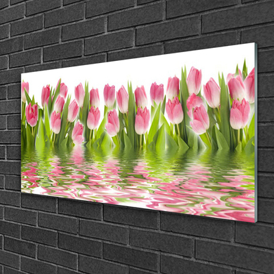 Akrylglas foto Tulipaner Planter Natur