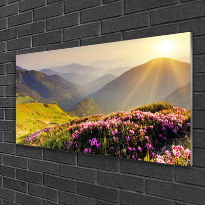 Foto på akrylglas Mountain Meadow Landscape