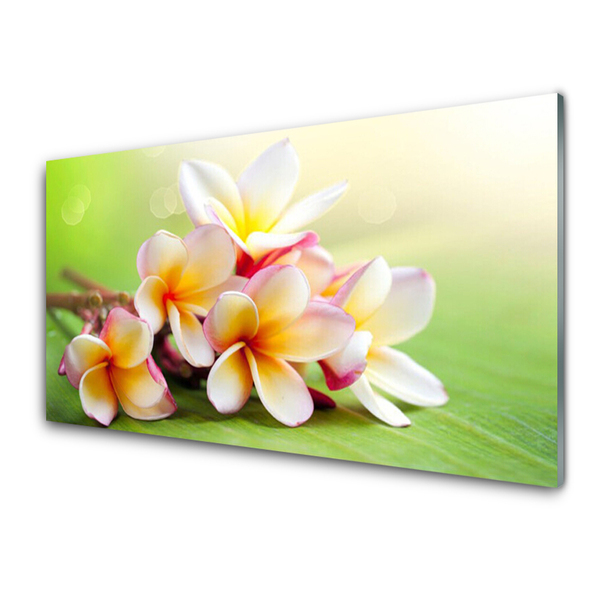 Akrylglas foto Blomster Planter Natur