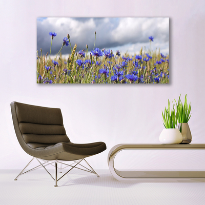 Akrylglas foto Blomster Planter Natur