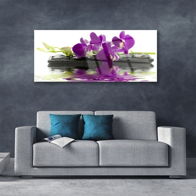 Akrylglas foto Blomster Planter Natur