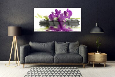 Akrylglas foto Blomster Planter Natur