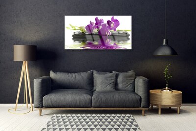 Akrylglas foto Blomster Planter Natur