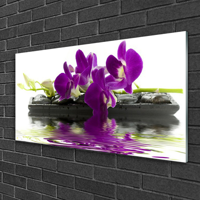 Akrylglas foto Blomster Planter Natur