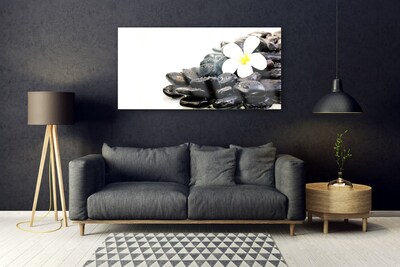 Foto på akrylglas Blomster Sten Kunst