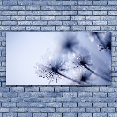 Akrylglas foto Dandelion Plant