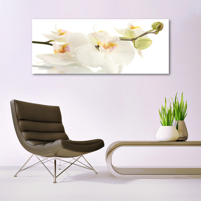 Akrylglas foto Blomster Planter Natur