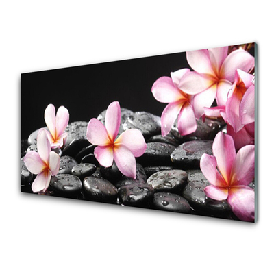 Billede på akrylglas Flower Wall Plumeria