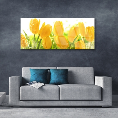 Akrylglas foto Tulipaner Blomster Plante