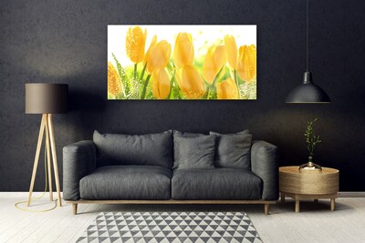 Akrylglas foto Tulipaner Blomster Plante