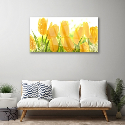 Akrylglas foto Tulipaner Blomster Plante