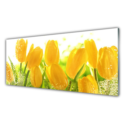 Akrylglas foto Tulipaner Blomster Plante