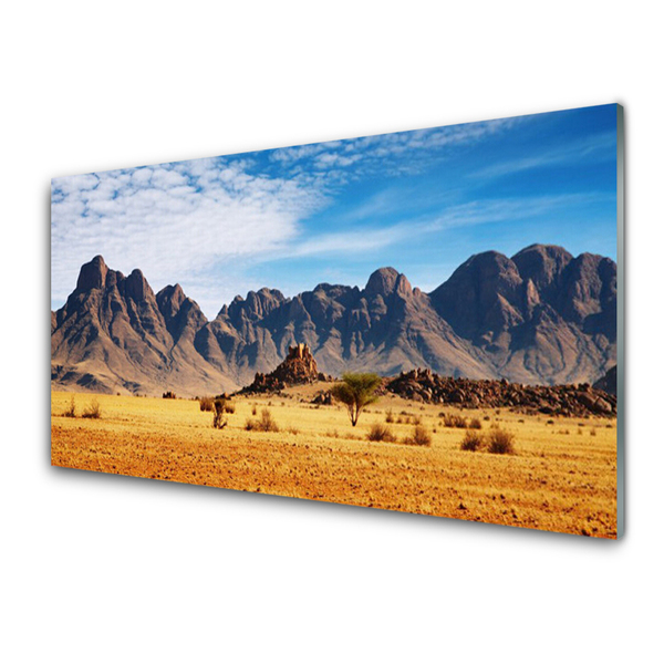 Akrylglas foto Desert Mountain Landscape