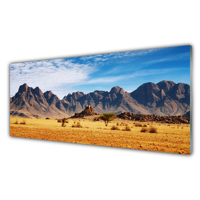 Akrylglas foto Desert Mountain Landscape