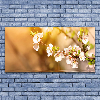 Billede på akrylglas Blomster Plante Natur