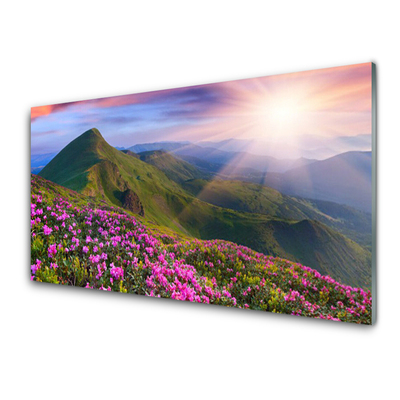 Akrylglas foto Mountain Meadow Flowers Landscape