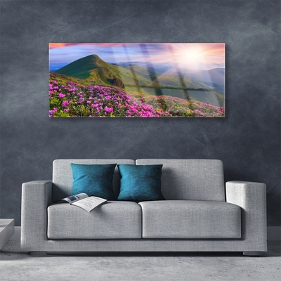 Akrylglas foto Mountain Meadow Flowers Landscape