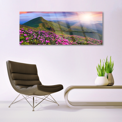 Akrylglas foto Mountain Meadow Flowers Landscape