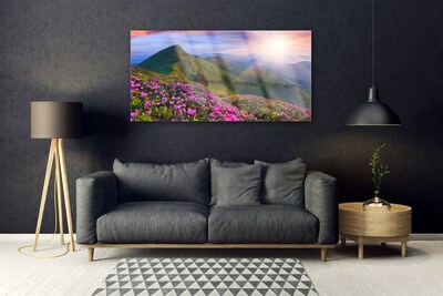 Akrylglas foto Mountain Meadow Flowers Landscape