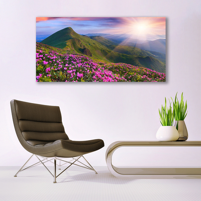 Akrylglas foto Mountain Meadow Flowers Landscape