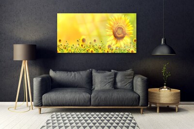 Akrylglas foto Sunflower Flower Plant