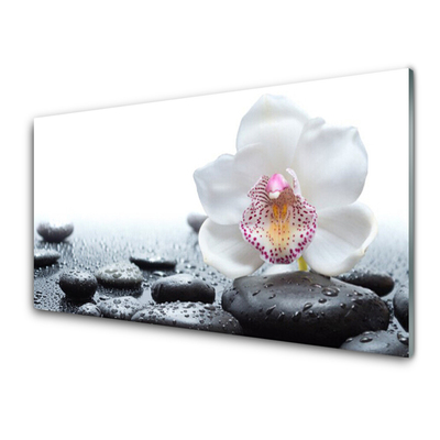 Akrylglas foto Flower Orchid Art