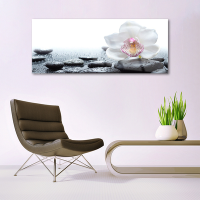 Akrylglas foto Flower Orchid Art