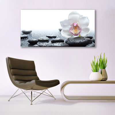 Akrylglas foto Flower Orchid Art